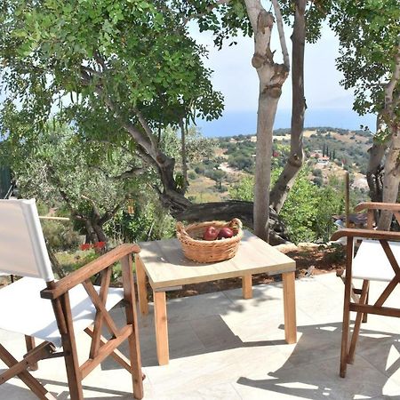 Philip'S Holiday House Νέο Χωριό Εξωτερικό φωτογραφία