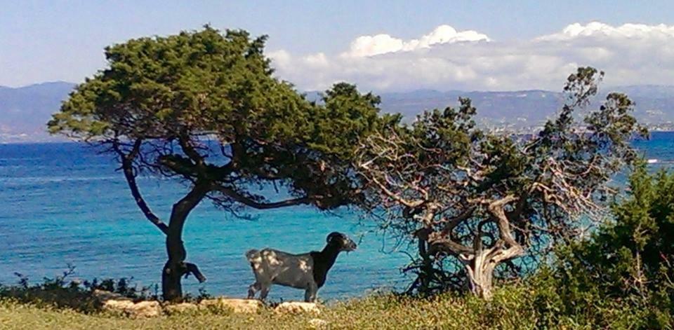Philip'S Holiday House Νέο Χωριό Εξωτερικό φωτογραφία