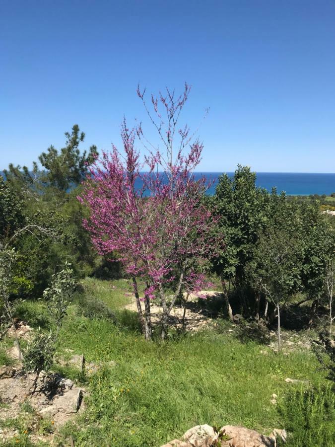 Philip'S Holiday House Νέο Χωριό Εξωτερικό φωτογραφία